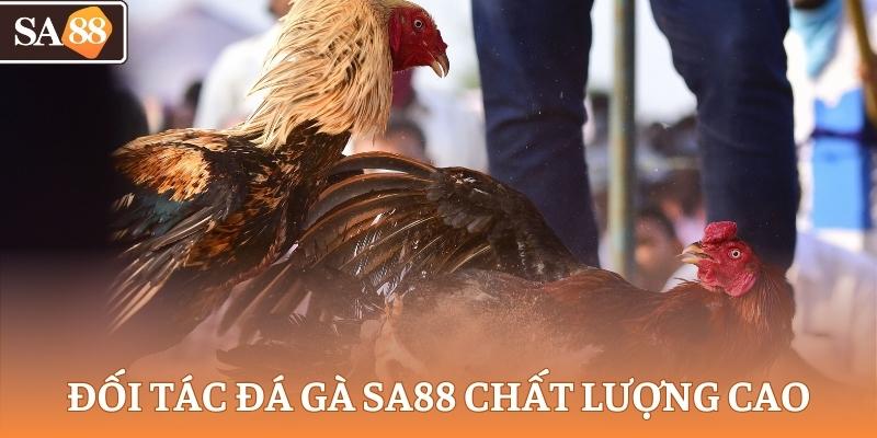 Đối tác đá gà SA88 chất lượng cao, giấy phép hợp pháp