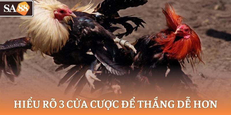 Hiểu rõ 3 cửa cược để thắng dễ hơn