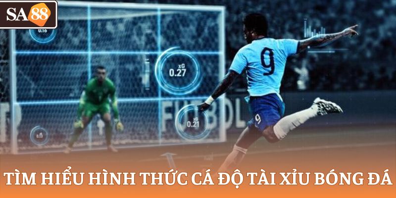 Tìm hiểu hình thức cá độ tài xỉu bóng đá